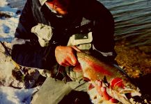 Luke Metherell 's Fly-fishing Picture of a Rainbow trout – Fly dreamers 