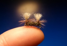  Foto de Atado de moscas para Trucha arcoiris compartida por Carlos Estrada – Fly dreamers