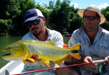 Fly-fishing Pic of Golden Dorado shared by Nicolás Schwint – Fly dreamers 