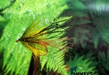 Lawrence Finney 's Fly-tying for Brown trout - Photo – Fly dreamers 