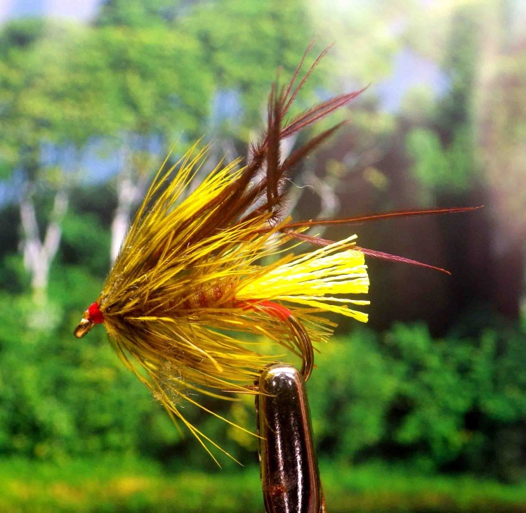 Olive Pseudo George
another great fly for the Irish Loughs