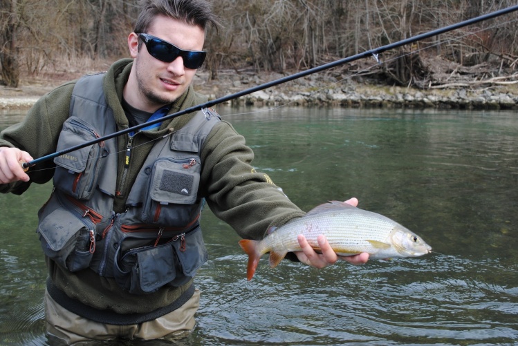 grayling Slovenia