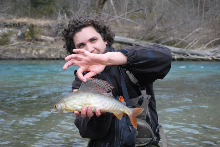 Grayling -  Slovenia