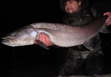 Fly-fishing Image of Danube Salmon - Hucho Hucho shared by Nicholas Ferentzi – Fly dreamers