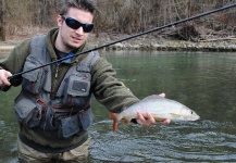 Gasper Konkolic 's Fly-fishing Catch of a Grayling – Fly dreamers 