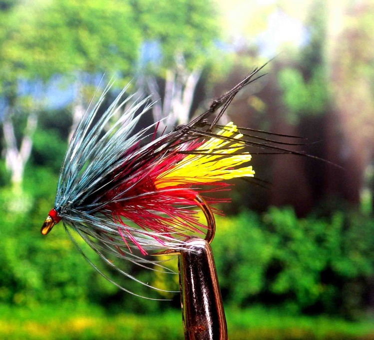 claret Pseudo George
a fantastic Irish lough fly pattern