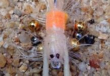 Yabbies/sand prawn fly