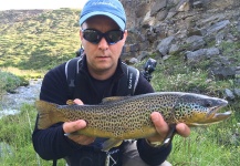 Fly-fishing Image of Brown trout shared by Massimo Feliziani – Fly dreamers