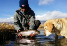 Fly-fishing Pic of Rainbow trout shared by Jessica Strickland – Fly dreamers 