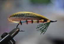  Fotografía de atado de moscas para Trucha de arroyo o fontinalis por Terry Landry – Fly dreamers