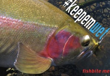Fishbite Media 's Fly-fishing Photo of a Rainbow trout – Fly dreamers 