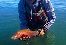 Fly-fishing Picture of Cutthroat shared by DJ Golden – Fly dreamers