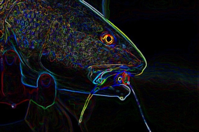 Electric CoolAid Acid Redfish.  Just playing around with an old picture of a redfish on a Crease Fly.
