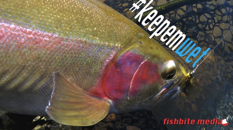 #keepemwet is all about encouraging best practices for catch &amp; release fish handling and photography. 