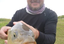 Pesca de Carpas con Mosca secas y ninfas  2015