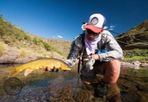 Jako Lucas 's Fly-fishing Picture of a Yellowfish – Fly dreamers 