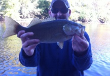 Toby Barnes 's Fly-fishing Photo of a Smallmouth Bass – Fly dreamers 