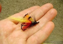 Salmon fly