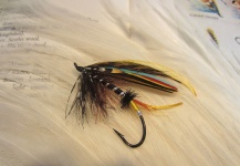 Len Handler 's Fly for Salminus affinis - Picture – Fly dreamers 