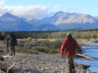 Fly fishing picture