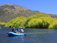 Fly fishing picture