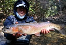 Guillaume Duvernois 's Fly-fishing Photo of a Rainbow trout – Fly dreamers 