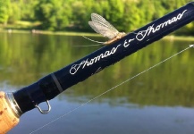 Sweet Fly-fishing Gear Image shared by Evaristo Juan De Julio Marco – Fly dreamers