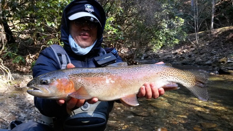Fishing with friends.

Andrew Kim with nice dukes creek trout