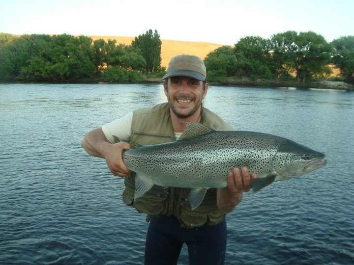 Otro buena Marron del Pichi