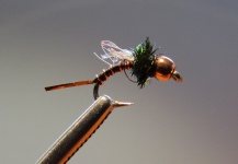  Una Excelente foto de atado de moscas por Don Mear