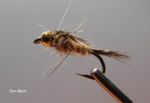 Don Mear 's Good Fly Photo – Fly dreamers 