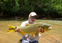 Golden Dorado Fly-fishing Situation – Ariel Gutierrez shared this Great Image in Fly dreamers 