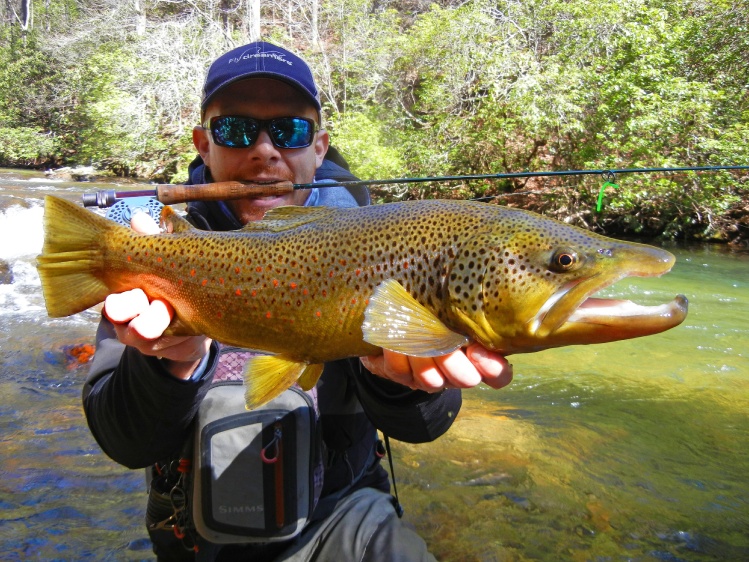 Never get tired of fighting these big bull brown...