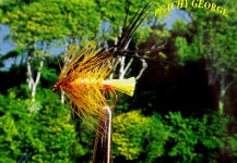 Fly-tying for Brown trout - Photo by Lawrence Finney – Fly dreamers 