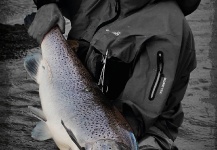 CIRCO STUDIO Producciones 's Fly-fishing Pic of a Sea-Trout – Fly dreamers 