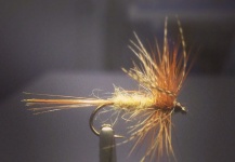 Fabio Gasperoni 's Fly-tying for Brown trout - Pic – Fly dreamers 