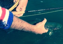 Duranglers Flies And Supplies 's Fly-fishing Photo of a Rainbow trout – Fly dreamers 