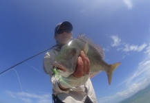 Vincent Gislard 's Fly-fishing Image of a Mangrove Snapper - Gray Snapper – Fly dreamers 