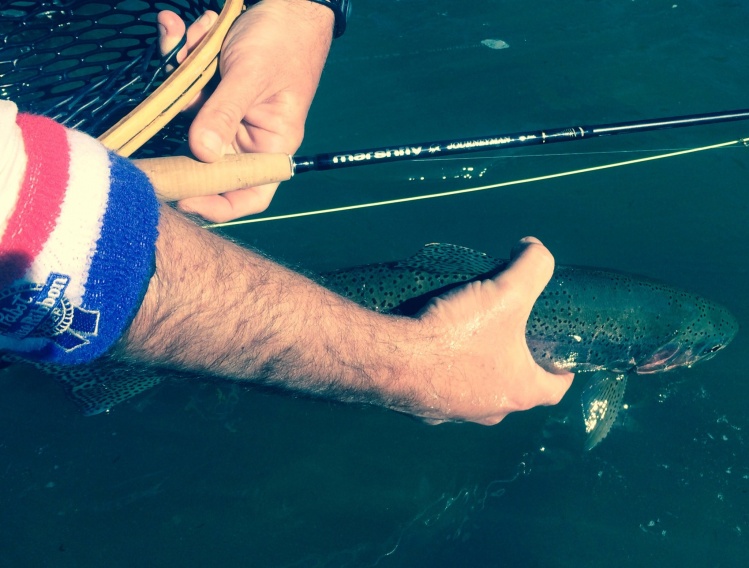 Animas Rainbow trout during a BWO hatch along with some PBR mojo and the Marsh Fly rod from Corky