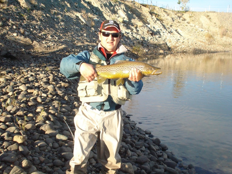 Esta marron la saque en un rebalse del Rio Limay en la represa Pichi Picun Leifu, linea intermedia y con una Wet color Marron!!!