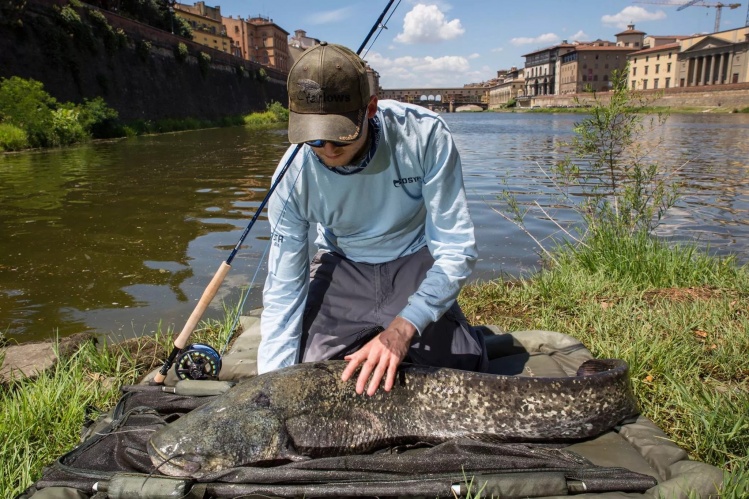 Here's something a little different for Fly Dreamers  - European  Wels Catfish from the centre of Florence, Italy - on fly kit!
check out the whole story here - <a href="http://incompleatangler.com/317-2/trout-fisherman-big-cat-hunting-italian-style/">htt</a>