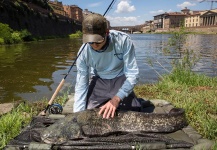 Andy Buckley 's Fly-fishing Picture of a Catfish – Fly dreamers 