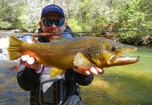 Fly-fishing Image of Brown trout shared by Guillaume Duvernois – Fly dreamers