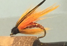 Spencer Kunkle 's Fly for Rainbow trout - Image – Fly dreamers 