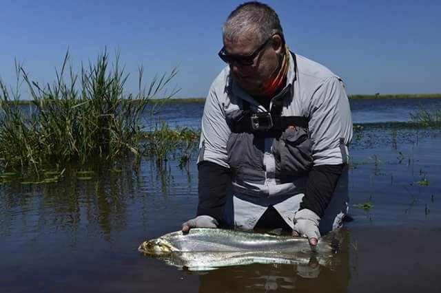 Pocas cosas tan placenteras como estas... Despues de una linda pelea, de vuelta a su habitat y a seguir creciendo...