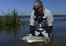 Horacio Fernandez 's Fly-fishing Image of a Dog Fish – Fly dreamers 