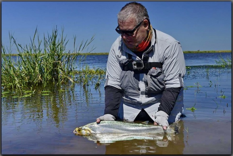 Río Victoria, Gualeguay, Entre Rios, Argentina