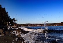 Sea-Trout Fly-fishing Situation – Brant Fageraas shared this Pic in Fly dreamers 