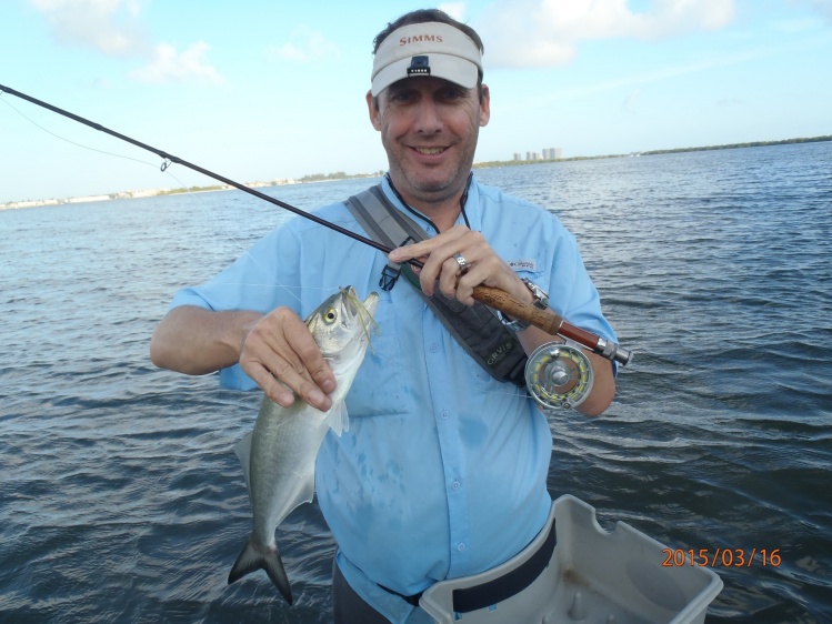 blue on the 3wt....great fight...all of them cleared the basket and bent the rod to the butt....