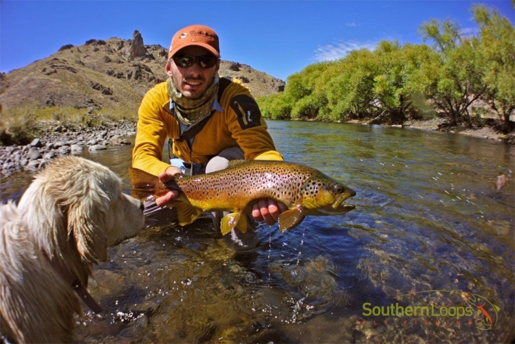 Yesterday on the Malleo River - Patagonia Argentina. Water is low, but this kind of Brown Trout are waiting for our dries anyway!!!